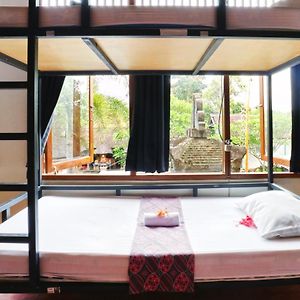 Single Bed Female Dormitory Room